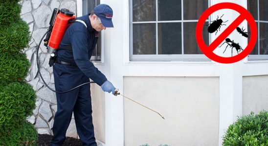 Gölköy Fare İlaçlama böcek ilaçlama ve haşere kontrolü — ilaclama-tr.com